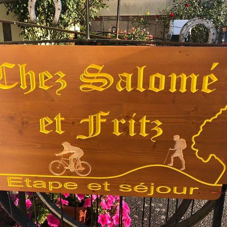 Chez Salome Et Fritz Vila Ingolsheim Exterior foto