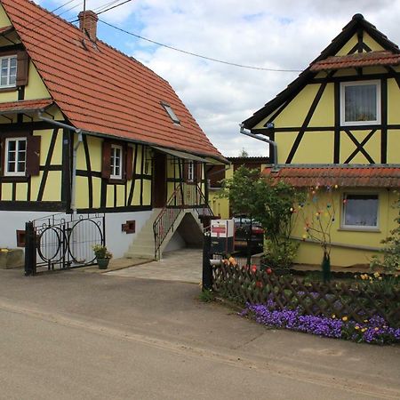 Chez Salome Et Fritz Vila Ingolsheim Exterior foto