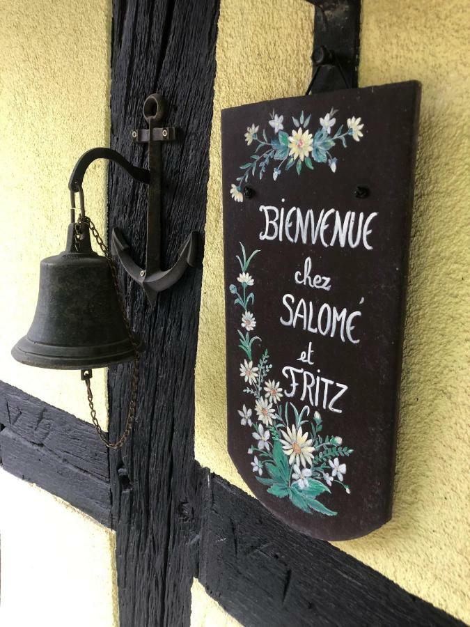 Chez Salome Et Fritz Vila Ingolsheim Exterior foto